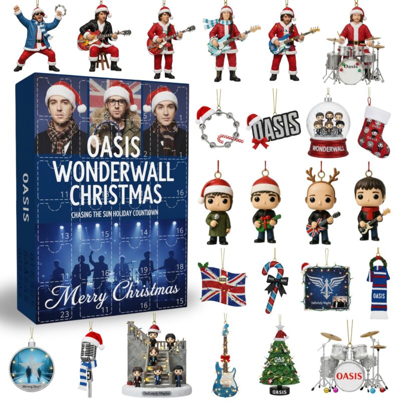 Oasis 3D Advent Calendar, Christmas Gift idea 2025, 24 Days Countdown Xmas Calendar